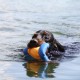 RRS_Fotogalerien_2010-07-18_Auesee_Wesel013
