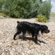 RRS_Fotogalerien_2010-07-18_Auesee_Wesel015