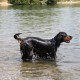 RRS_Fotogalerien_2010-07-18_Auesee_Wesel031