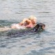 RRS_Fotogalerien_2010-07-18_Auesee_Wesel034