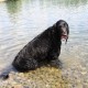 RRS_Fotogalerien_2010-07-18_Auesee_Wesel041