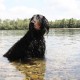 RRS_Fotogalerien_2010-07-18_Auesee_Wesel044