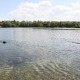 RRS_Fotogalerien_2010-07-18_Auesee_Wesel049
