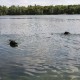 RRS_Fotogalerien_2010-07-18_Auesee_Wesel051