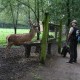 RRS_Fotogalerien_2011-06-26_Wildpark067