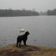 RRS_Fotogalerien_2012-01-29_Gnomengang17