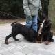 RRS_Fotogalerien_2012-01-29_Gnomengang25
