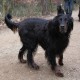 RRS_Fotogalerien_2012-01-29_Gnomengang35