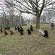 RRS_Fotogalerien_2012-01-29_Gnomengang46