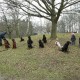RRS_Fotogalerien_2012-01-29_Gnomengang47