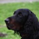 RRS_Fotogalerien_2012-01-29_Gnomengang57