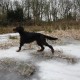 RRS_Fotogalerien_2012-02-12_Halde_Norddeutschland036