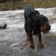 RRS_Fotogalerien_2012-02-12_Halde_Norddeutschland039