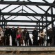 RRS_Fotogalerien_2012-02-12_Halde_Norddeutschland047