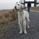 RRS_Fotogalerien_2012-02-12_Halde_Norddeutschland054
