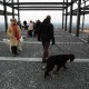 RRS_Fotogalerien_2012-02-12_Halde_Norddeutschland061