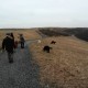 RRS_Fotogalerien_2012-02-12_Halde_Norddeutschland066