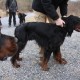 RRS_Fotogalerien_2012-02-12_Halde_Norddeutschland072