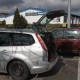 RRS_Fotogalerien_2012-04-01_Mantrailing005
