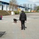 RRS_Fotogalerien_2012-04-01_Mantrailing013