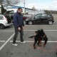 RRS_Fotogalerien_2012-04-01_Mantrailing046