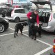 RRS_Fotogalerien_2012-04-01_Mantrailing058