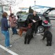 RRS_Fotogalerien_2012-04-01_Mantrailing069