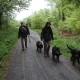 RRS_Fotogalerien_2012-05-06_Doggie-Fit002