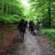 RRS_Fotogalerien_2012-05-06_Doggie-Fit011