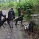 RRS_Fotogalerien_2012-05-06_Doggie-Fit015