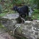 RRS_Fotogalerien_2012-05-06_Doggie-Fit017