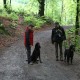 RRS_Fotogalerien_2012-05-06_Doggie-Fit024