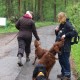 RRS_Fotogalerien_2012-05-06_Doggie-Fit039
