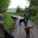 RRS_Fotogalerien_2012-05-06_Doggie-Fit044