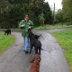 RRS_Fotogalerien_2012-05-06_Doggie-Fit048