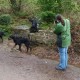 RRS_Fotogalerien_2012-05-06_Doggie-Fit050