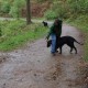RRS_Fotogalerien_2012-05-06_Doggie-Fit052