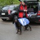 RRS_Fotogalerien_2012-05-06_Doggie-Fit060