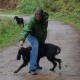 RRS_Fotogalerien_2012-05-06_Doggie-Fit063