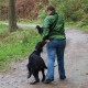 RRS_Fotogalerien_2012-05-06_Doggie-Fit066