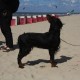 2012-07-29 RRS Holland Hundestrand_180