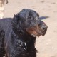 2012-07-29 RRS Holland Hundestrand_209