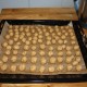 RRS_Fotogalerien_2009-12-13_Hunde_Kekse_backen02