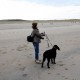 RRS_Fotogalerien_2013-04-14_Kijkduin-Hundestrand005