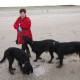RRS_Fotogalerien_2013-04-14_Kijkduin-Hundestrand006