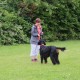 RRS_Fotogalerien_2014-06-19_Hunderennen001