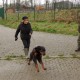 RRS_Fotogalerien_2015-12-31_Silvesterspaziergang004