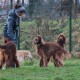 RRS_Fotogalerien_2015-12-31_Silvesterspaziergang010