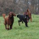 RRS_Fotogalerien_2015-12-31_Silvesterspaziergang018