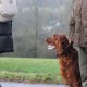 RRS_Fotogalerien_2015-12-31_Silvesterspaziergang031